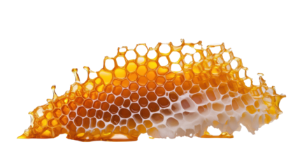 Honeycomb on Transparent Background