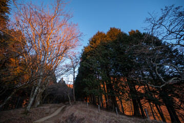 Climbing Mount Tonodake and Tanzawa, Kanagawa, Japan