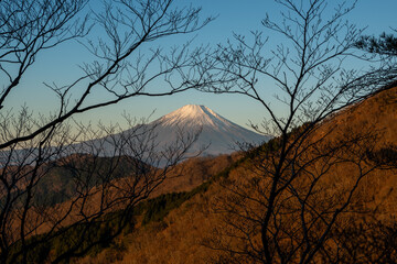 Climbing Mount Tonodake and Tanzawa, Kanagawa, Japan