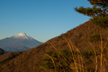 Climbing Mount Tonodake and Tanzawa, Kanagawa, Japan