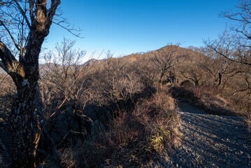 Climbing Mount Tonodake and Tanzawa, Kanagawa, Japan