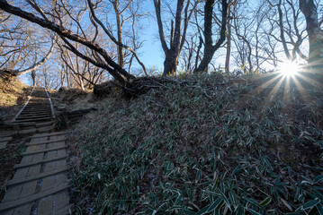 Climbing Mount Tonodake and Tanzawa, Kanagawa, Japan
