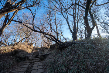 Climbing Mount Tonodake and Tanzawa, Kanagawa, Japan