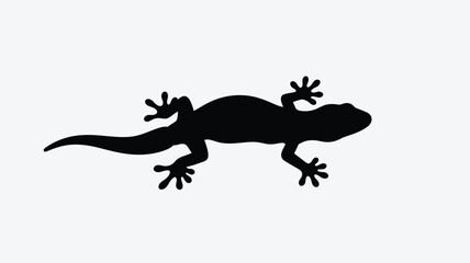 A striking black lizard form against a white background silhouette