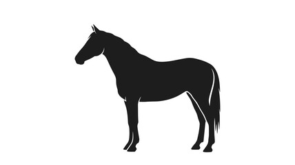 A striking black horse stands proudly in a dark silhouette