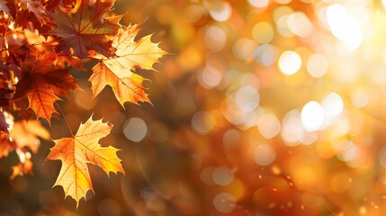 Fototapeta premium Elegant Autumn Maple Leaves Corner Background