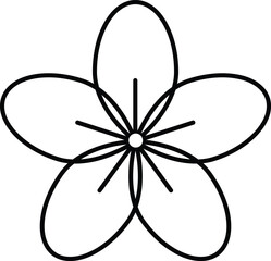 Five petal flower isolated on white