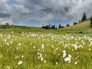 View from the Puflatsch to the Schlern in clouds on the Seiser Alm in the Dolomites, South Tyrol, Italy.