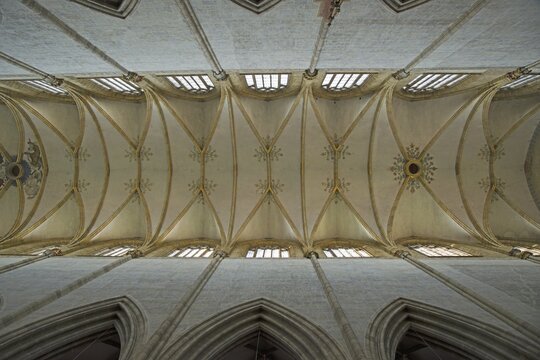 Vaulting, view of the vaulted ceiling, nave, interior, Ulm Minster, Ulm, Baden-Wurttemberg, Germany