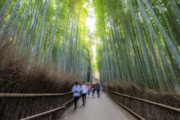 Visitors on their way through bamboo forest, motion blur, long exposure, towering bamboo stems in Arashiyama bamboo forest, Kyoto, Japan