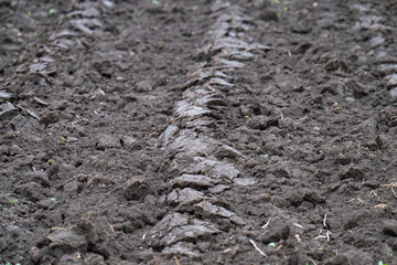  chernozem plowed soil