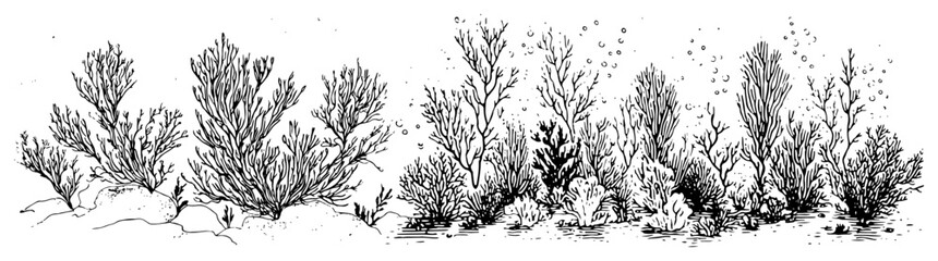 Naklejka premium Underwater coral reef seabed with seaweed and bubbles Hand drawn ink sketch vector illustration of marine nature