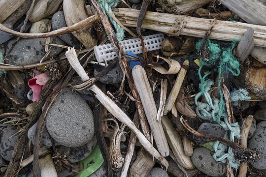 Driftwood and plastic waste, Drangsnes, Strandir, &Aacute;rnes, Westfjords, Iceland