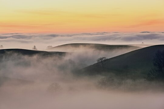 Drumlin landscape in the fog, in the light of the setting sun, Hirzel, Canton Zurich, Switzerland