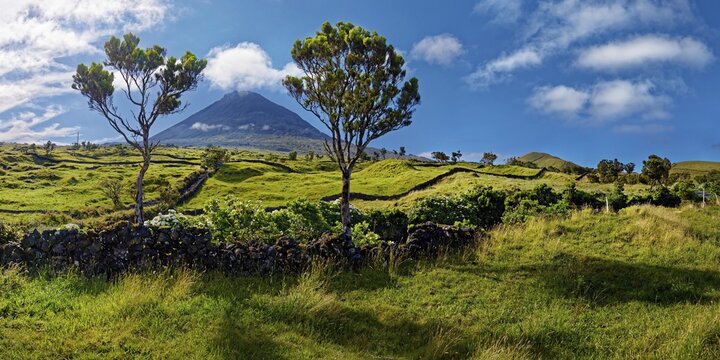 Extensive green hilly landscape with the volcanic cone of Pico framed by trees and blue-white sky, Madalena, Pico, Azores, Portugal