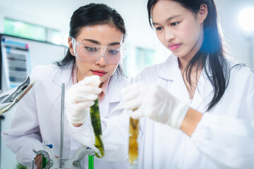 Two scientists closely examine algae samples in test tubes inside a modern laboratory, conducting biological research focused on sustainability, plant science, and environmental biotechnology.