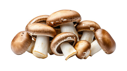 Fototapeta premium Fresh Mushrooms on Transparent Background