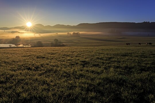 Sunrise over a meadow with fog in front of mountains, backlight, summer, Alpine foothills, Bavaria, Germany