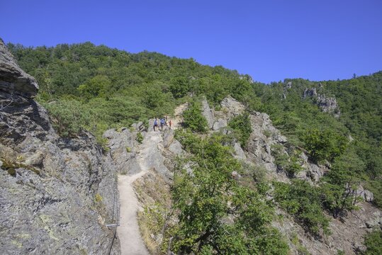 Insured route on the Vogelbergsteig, D&uuml;rnstein, Lower Austria, Austria