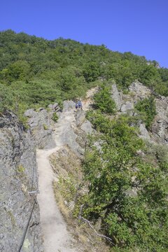 Insured route on the Vogelbergsteig, D&uuml;rnstein, Lower Austria, Austria