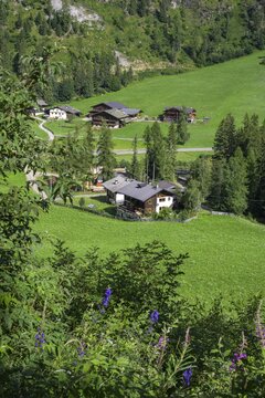 View of farmhouses on the farm hiking trail, Ulten, South Tyrol, Italy