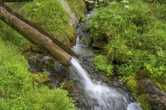 Small stream and wooden channel of the Kandelwaal, Martell, South Tyrol, Italy