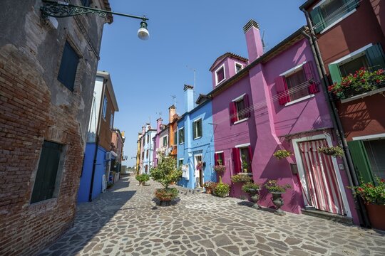 Colourful houses with flowers, colourful house facades, alleys on the island of Burano, Venice, Veneto, Italy