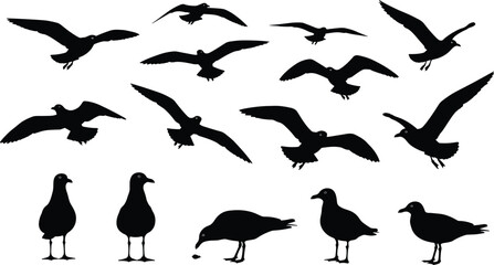 Massive Vector Silhouette Collection: Featuring Dynamic Baseball Players, Various Bulls, Cows, and Calves, alongside Seagulls in Flying and Standing Poses for Diverse Design Projects.