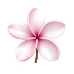 Frangipani Blossom: A close-up view of a delicate frangipani flower, showcasing its soft pink and white petals that radiate beauty and serenity.