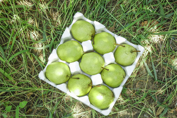 Fresh Green Pears in Packaging, Pucheng Shaanxi Orchard Harvest