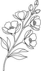 Collection of Elegant Daisy flower Illustrations line art design illustration premium quality Isolated monochrome botanical line art flowers and branches