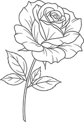 Rose sketches in line art style Hand drawn black and white rose flower