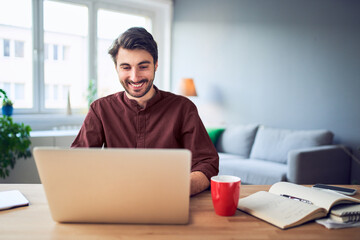 Portrait of smiling young freelancer working on laptop sitting at desk at home