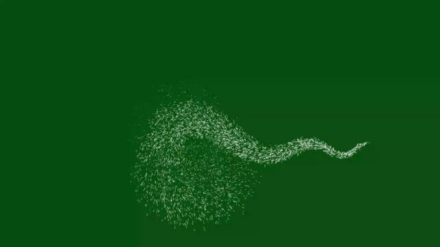 Sparkling star bursts and shimmering, glitter line trails drift in looping motion, mixing doodle style twinkles, glowing white particles into a 4K, magic sparkle effect on chroma key on green screen.