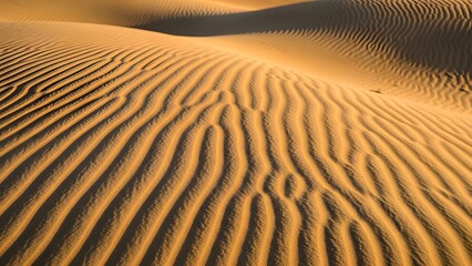Beautiful patterns on sand dunes in a desert landscape during golden hour, sculpted by wind and light, creating mesmerizing wavy textures perfect for nature themed backdrops and travel concepts