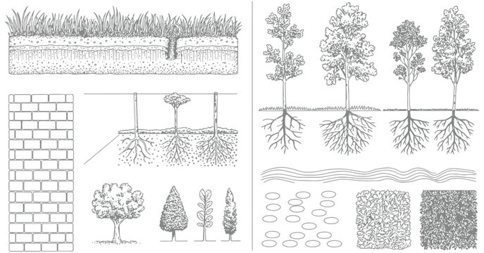 CAD Landscape Vector, Grass and Forest Section with Soil Layers, Lawn Texture for Design and Architecture