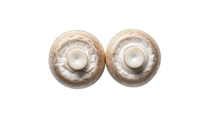 Two Button Mushrooms Isolated on White