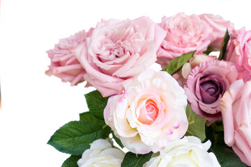 Soft pink rose with textures, Closeup of blush rose with gentle lighting and fine details, Macro shot capturing soft pastel pink petals against luminous white studio setting