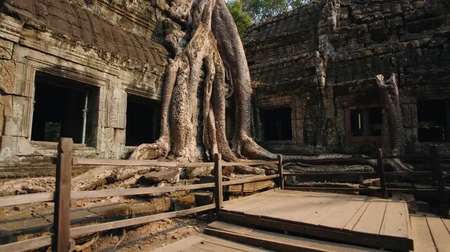 Ancient stone ruins of the ta prohm temple complex in angkor wat, overgrown with the massive roots of a tree in the cambodian jungle, Siem Reap. Archeology concept.