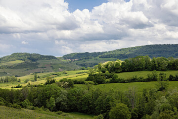 Vineyards and landscape in Burgundy in spring sunshine, France