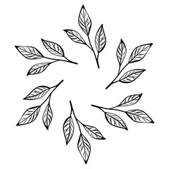Elegant line art illustration featuring coffee and tea leaf branches arranged in a circular composition. Perfect for cafe logo, packaging, branding, or organic design.