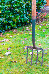 Fork gardening tool on the grass or lawn in a residential garden