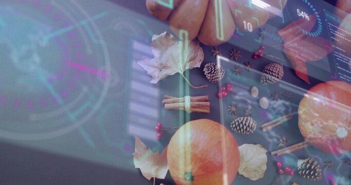 Displaying flat autumn display featuring pumpkins, pine cones, cinnamon on dark table, HUD blinds