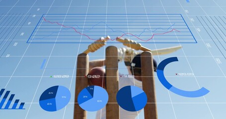 Displaying cricket stumps and bat on outdoor pitch, showing red ball, player in white pads, data © vectorfusionart