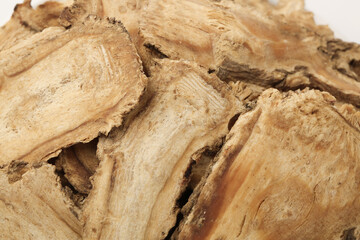 Dried Chinese Angelica Root Slices Traditional Herbal Medicine TCM Natural Health Product Showcase