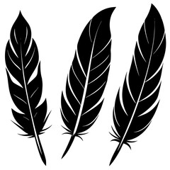 Obraz premium Feather set vector illustration