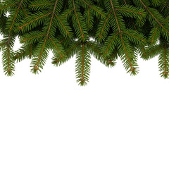 Obraz premium Lush green fern canopy against dark background nature scene