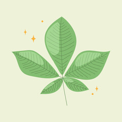 bright green leaf illustration with soft details and a clean light background. simple botanical design adds a fresh  natural feel, perfect for eco themes, nature projects, organic concepts. Vector 