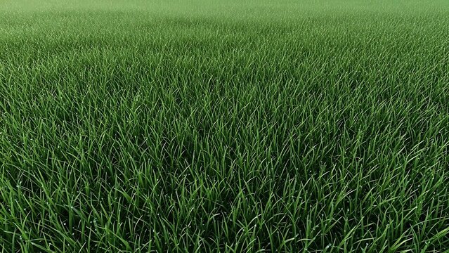 Expansive green grass field receding into a soft green haze - Powered by Adobe