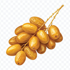 realistic fresh date fruits with green leaves in different style isolated on transparent background
